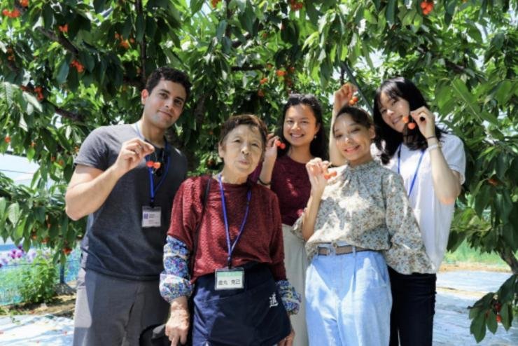 🌳 마루에 관광 과수원(마루에 칸코 카주엔) 이미지 6